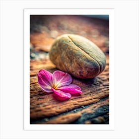 Petals And Pebbles Place A Delicate Flower Peta (2) Art Print