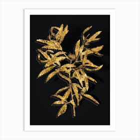 Vintage Sweetfern Botanical in Gold on Black n.0372 Art Print