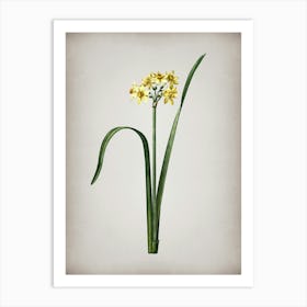 Vintage Cowslip Cupped Daffodil Botanical on Parchment n.0480 Art Print