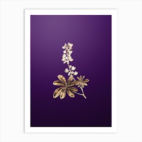 Gold Botanical Half Shrubby Lupine Flower on Royal Purple n.3489 Art Print