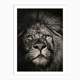 Barbary Lion Charcoal Drawing Symbolic Imagery 3 Art Print