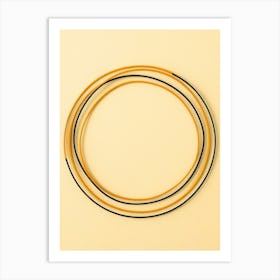 Circle Of Wires Art Print