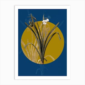 Vintage Botanical Summer Snowflake on Circle Yellow on Blue Art Print