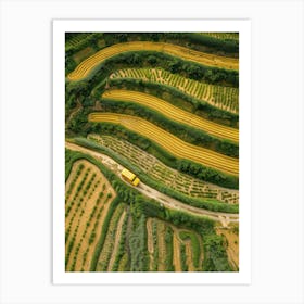 Aerial View Of Rice Fields Art Print