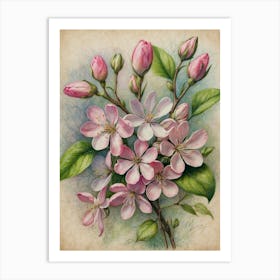 Apple Blossoms Art Print