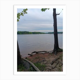 Lake View 1 Art Print