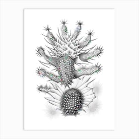 Star Cactus William Morris Inspired 2 Art Print