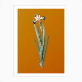 Vintage Harlequin Blueflag Botanical on Sunset Orange n.0928 Art Print