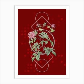 Vintage Cinnamon Rose Botanical with Geometric Line Motif and Dot Pattern n.0350 Art Print
