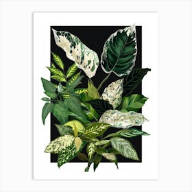 Tropical Plants 1 Art Print