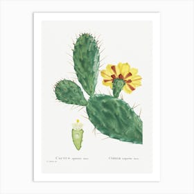 Cactus Opuntia Tuna, Pierre Joseph Redoute Art Print