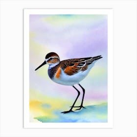 Dunlin 2 Watercolour Bird Art Print