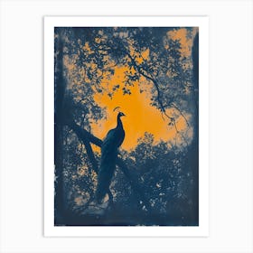 Orange & Blue Peacock In The Trees 3 Art Print
