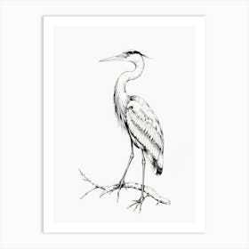 Great Blue Heron Art Print