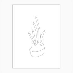 Drawing Of A Plant Art Print