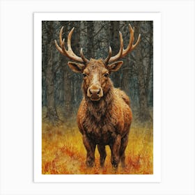 Elk In The Woods Art Print