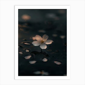 Flower In Water 1 Art Print