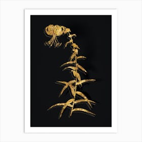 Vintage Tiger Lily Botanical in Gold on Black n.0485 Art Print
