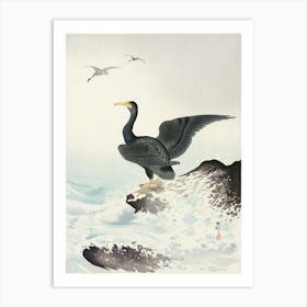 Red Mask Cormorant On Rock (1900 1936), Ohara Koson Art Print