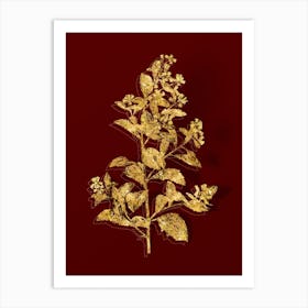 Vintage Eastern Baccharis Botanical in Gold on Red n.0445 Art Print