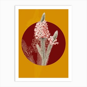 Vintage Botanical Heather Briar Root Bruyere on Circle Red on Yellow n.0295 Art Print