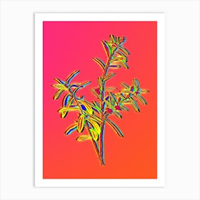 Neon Bog Rosemary Bush Botanical in Hot Pink and Electric Blue n.0202 Art Print