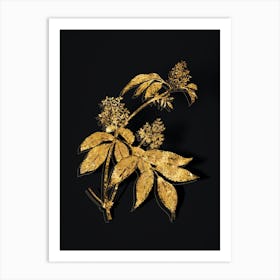 Vintage Red Elderberry Botanical in Gold on Black Art Print