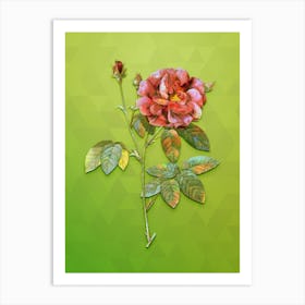 Vintage French Rose Botanical Art on Love Bird Green Art Print