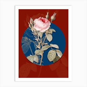 Vintage Botanical Double Moss Rose on Circle Blue on Red n.0280 Art Print