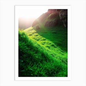 Green Grass In The Sun Art Print