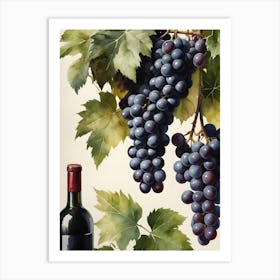 Vines,Black Grapes And Wine Bottles Painting (7) Art Print
