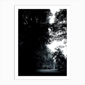 Park Garden Trees Nature Dark Light Photo Vertical Monochrome Black And White Art Print