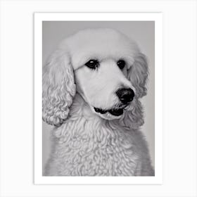 Poodle B&W Pencil Dog Art Print