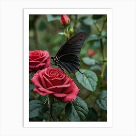 Butterfly On Roses 3 Art Print