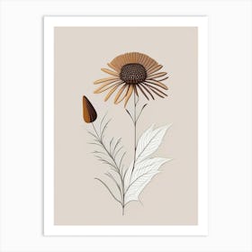 Echinacea Spices And Herbs Retro Minimal 4 Art Print