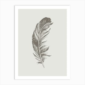 Grey Feather Print 4 Art Print