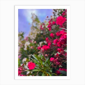 Red Flowers Against A Blue Sky Art Print