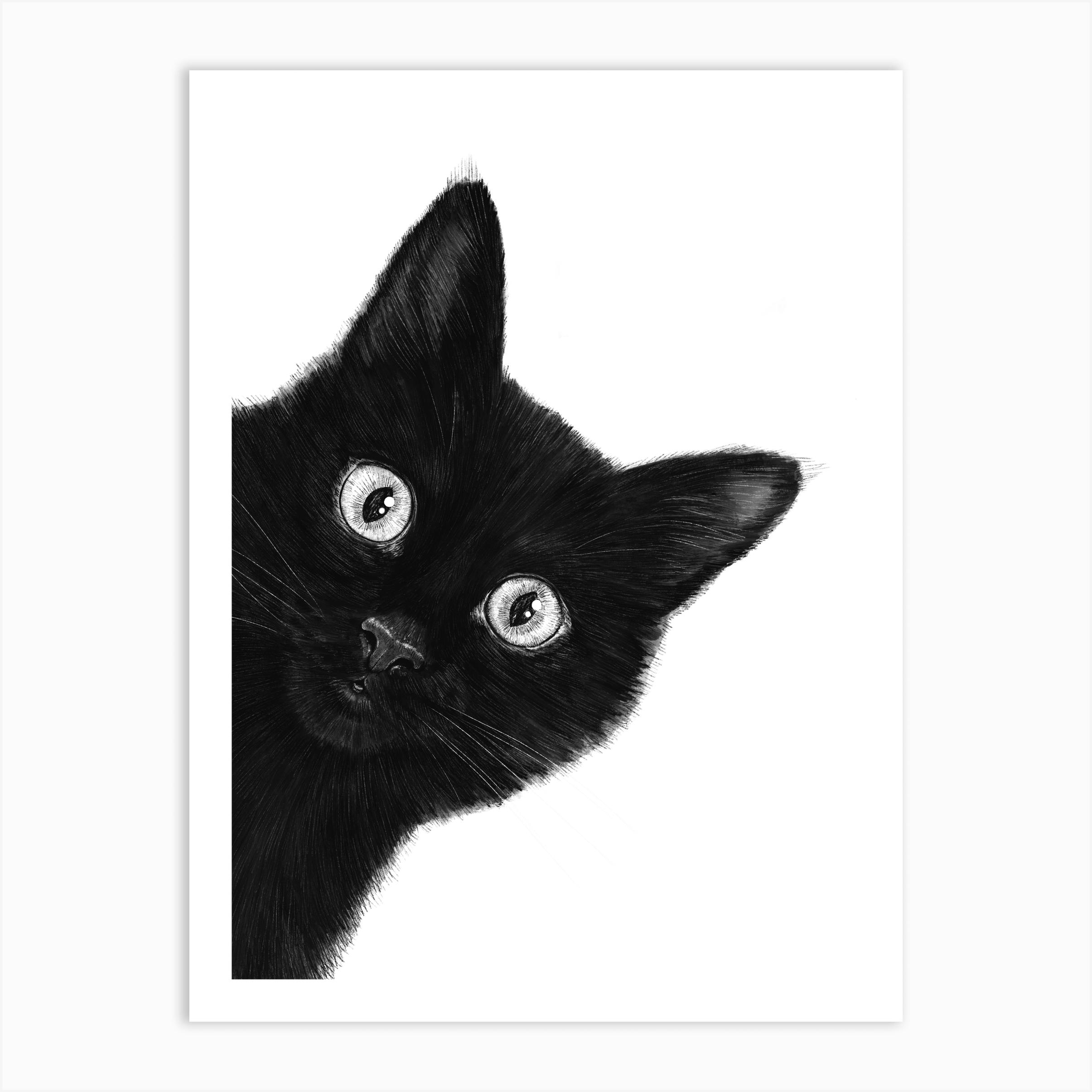 Surprise Kitty Cute Black Cat Screaming Stock Photo - Download