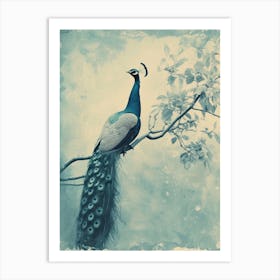 Vintage Turquoise Peacock In A Tree Cyanotype Inspired2 Art Print