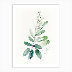 Wintergreen Herb Minimalist Watercolour Art Print