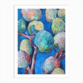 Custard Apple 2 Classic Fruit Art Print