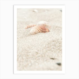 Shells in Sand_2262135 Art Print