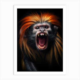 Golden Headed Lion Tamarin 1 Art Print