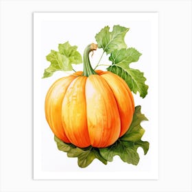 Turban Squash Pumpkin Watercolour Illustration 3 Art Print