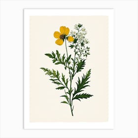 Vintage Botanical Galleria Style Wildflower Painting 8 Art Print