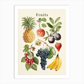 Fruits Collection Art Print