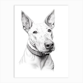 Boston Terrier Dog, Line Drawing 7 Art Print