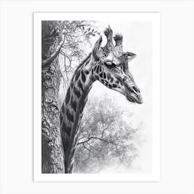 Giraffe Scratching Against A Tree Pencil Drawing 2 Art Print