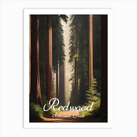 Redwood National Park Art Print