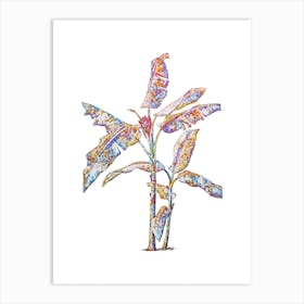 Stained Glass Scarlet Banana Mosaic Botanical Illustration on White n.0005 Art Print